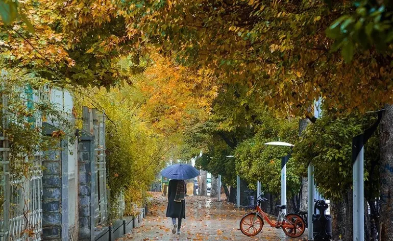 مکان های لاکچری شیراز