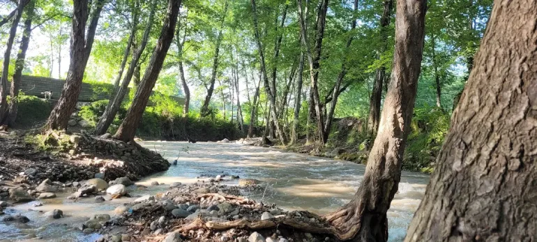 جاهای دیدنی روستای لاویج