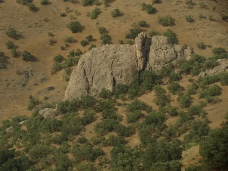 فیل سنگی لاویج