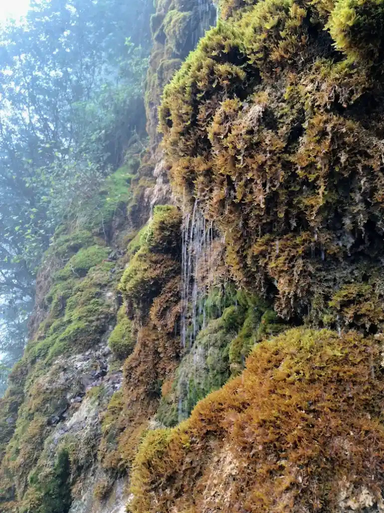 روستای لاویج مازندران؛ مقصدی بکر برای عاشقان آبگرم و طبیعت سبز 14 آبشار حرام او
