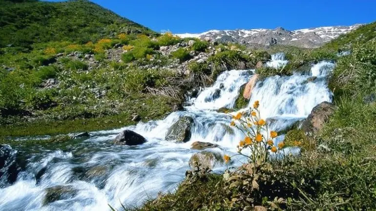راهنمای سفر به جوانرود کرمانشاه؛ از جاهای دیدنی تا پیشینه تاریخی 22 تنگه نول