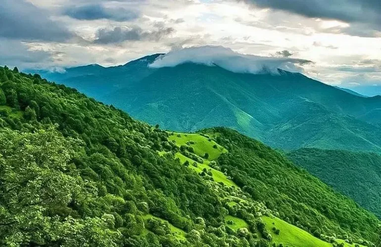 زیباترین جنگل های ایران که حتما باید یکبار آنها را ببینید 16 جنگل سیاهکل
