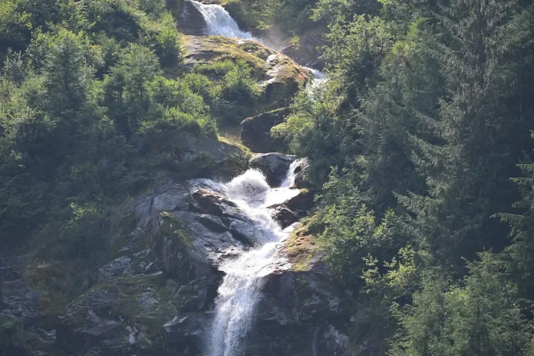 جنگل بارانی گریت بیر (Great Bear Rainforest، بریتیش کلمبیا، کانادا)