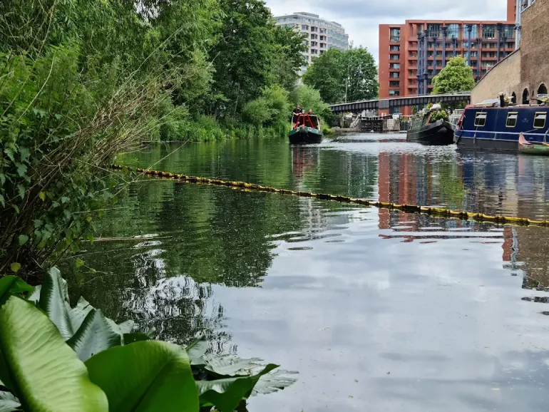 - پارک طبیعی کاملی استریت (Camley Street Natural Park)