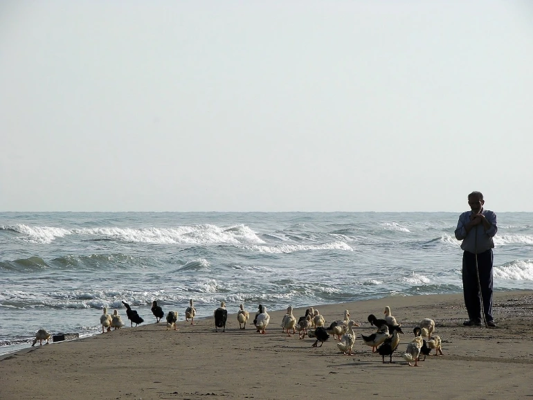جانوران دریای خزر