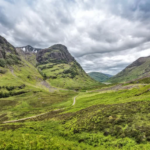 زیباترین جنگل های جهان، سفری فراتر از خیال