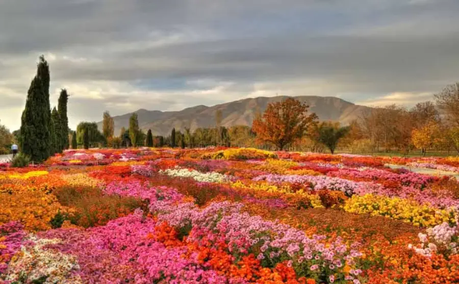 باغ گیاه‌شناسی ملی ایران