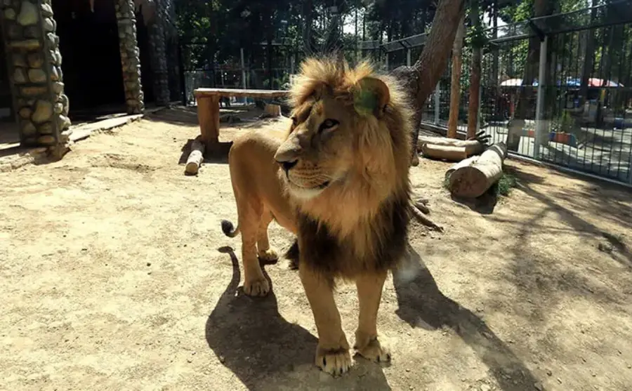 باغ‌وحش ارم