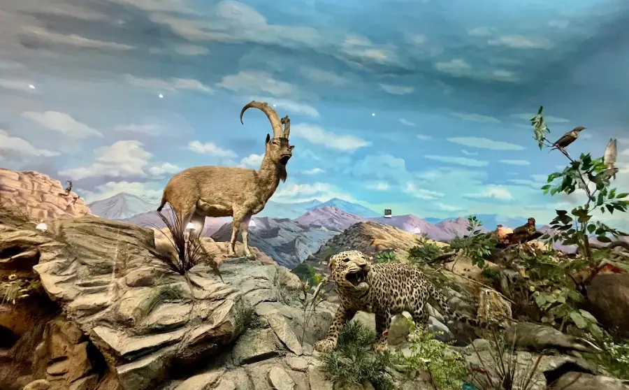 موزه حیات وحش هفت‌چنار