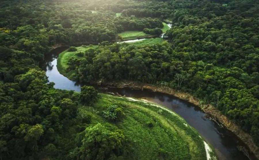 30 تا از محبوب ترین جاهای دیدنی دنیا که باید آنها را بشناسید. 10 جنگل بارانی آمازون