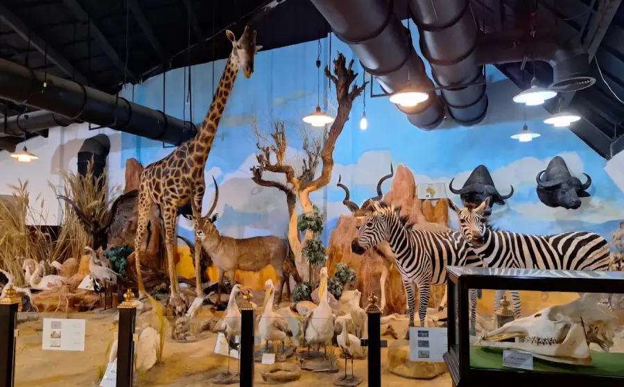 جاهای دیدنی تهران برای کودکان؛ سفری شاد و پر از کشف و یادگیری 44 پارک حیات وحش دارآباد