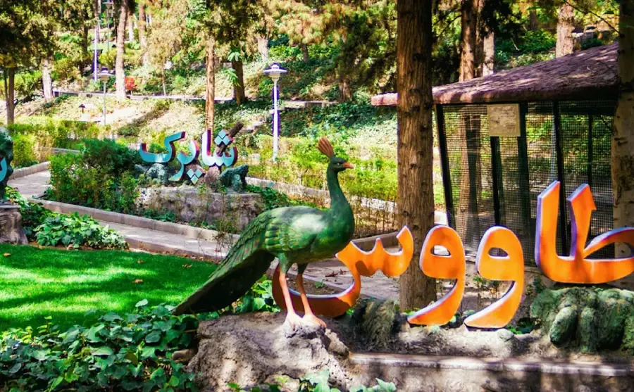 جاهای دیدنی تهران برای کودکان؛ سفری شاد و پر از کشف و یادگیری 9 پارک ساعی