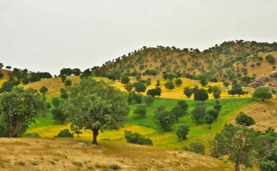 جاهای دیدنی چهار محال و بختیاری در بهار