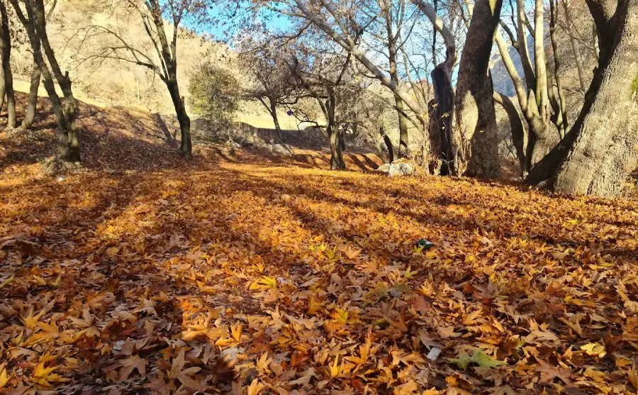 بهترین جاهای دیدنی چهار محال و بختیاری؛ بام سرسبز ایران 92 جاهای دیدنی چهار محال و بختیاری در پاییز