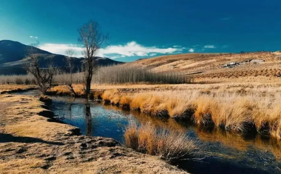 بهترین جاهای دیدنی چهار محال و بختیاری؛ بام سرسبز ایران 96 جاهای دیدنی چهار محال و بختیاری در شب