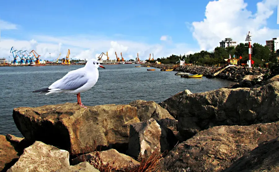 راهنمای سفر به بندر انزلی، هر آنچه باید قبل از سفر به بندر انزلی بدانید 2 بندر انزلی کجاست؟