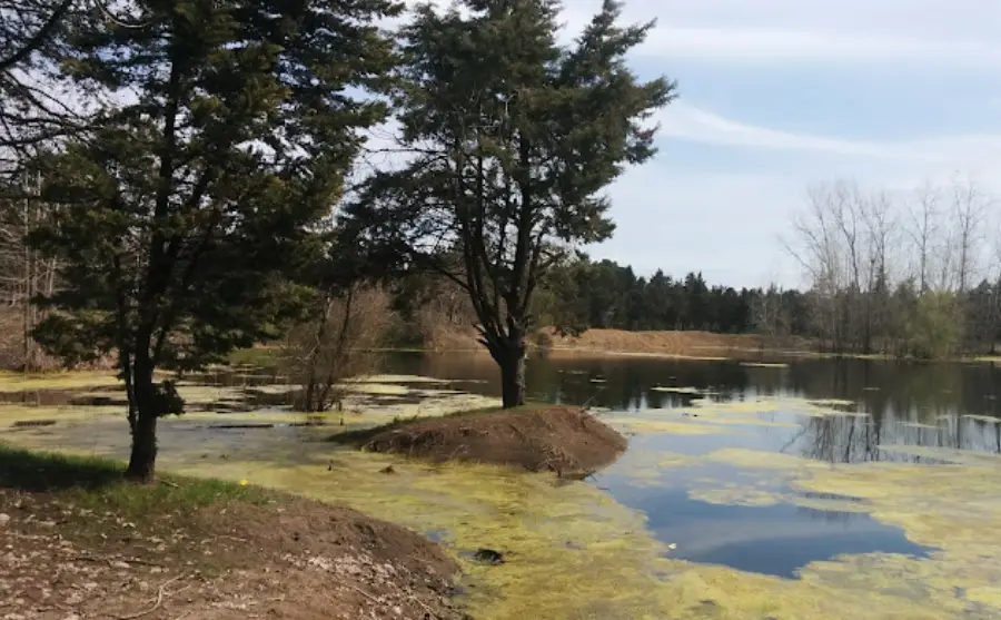 راهنمای سفر به بندر انزلی، هر آنچه باید قبل از سفر به بندر انزلی بدانید 22 جاهای دیدنی بندر انزلی