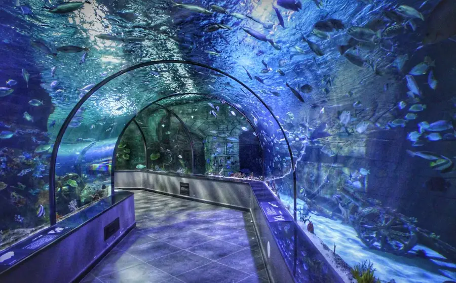 راهنمای سفر به بندر انزلی، هر آنچه باید قبل از سفر به بندر انزلی بدانید 30 آکواریوم و پارک تفریحی انزلی