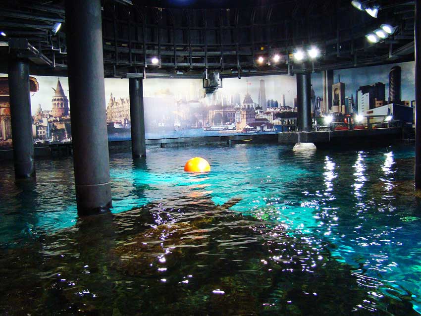 آکواریوم استانبول دریای مرمره