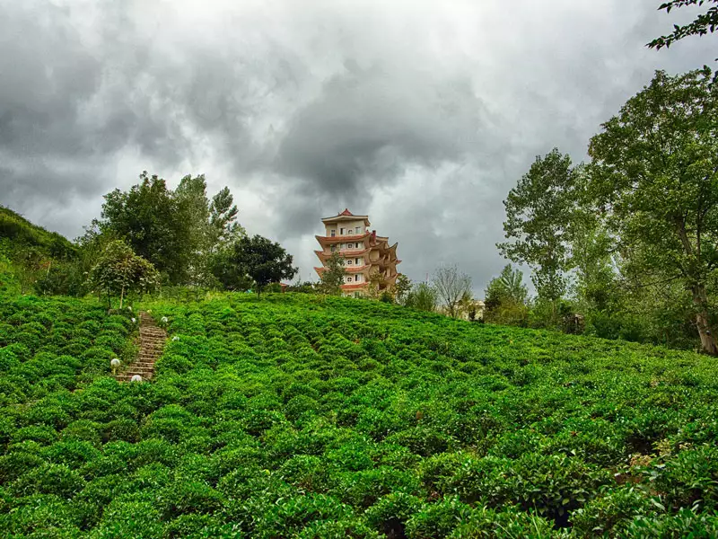 Alibaba https://cdn.alibaba.ir/ostorage/hotel-accommodation-images/67063d34299de7a7748d2ca8_4e2b6b34-79c7-4da6-ba80-4df9aa42d2b6_view6.webp