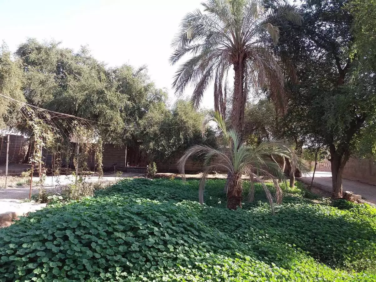 هتل لامردون شوشتر
