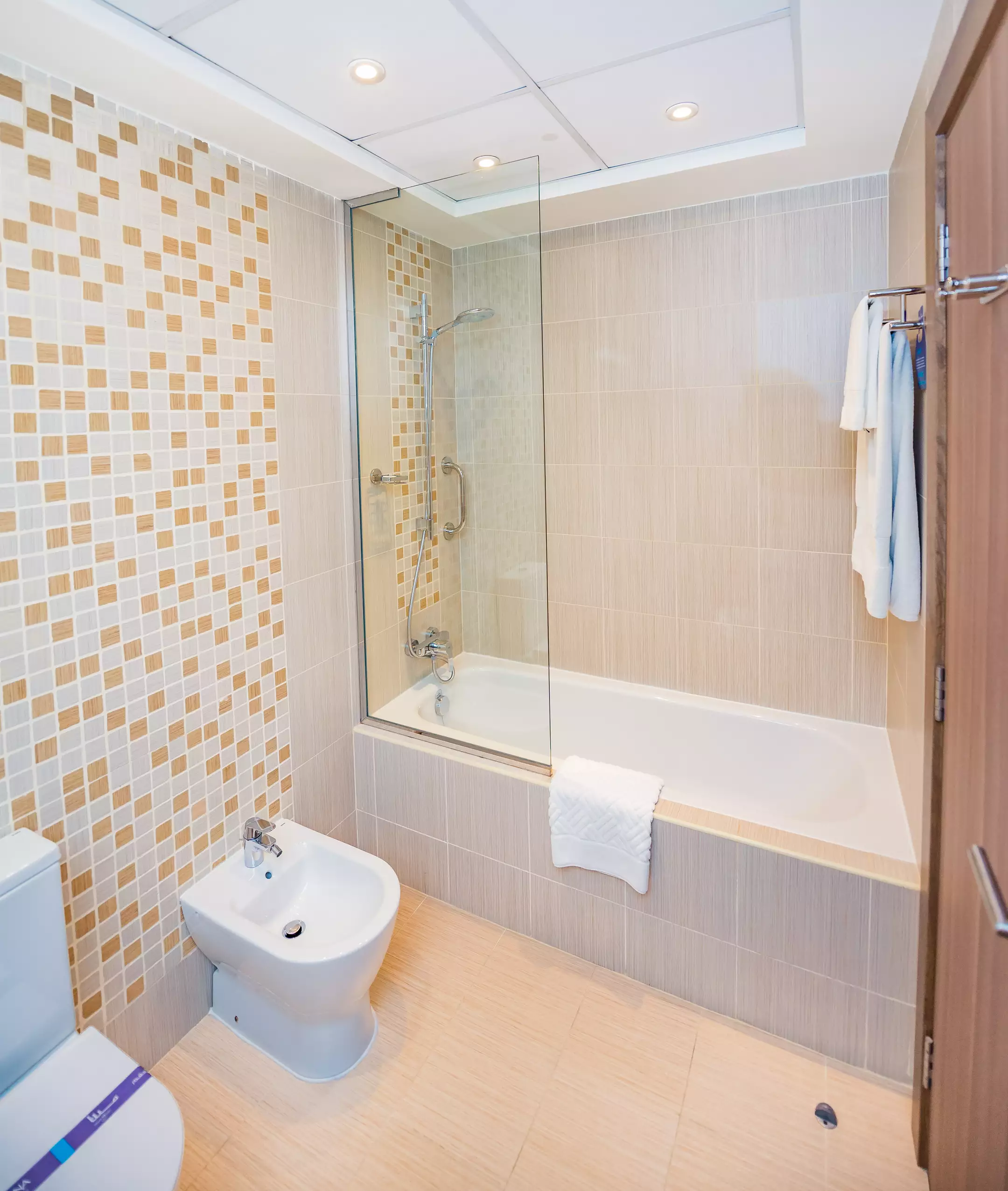 هتل MENA Plaza Hotel Albarsha دبی