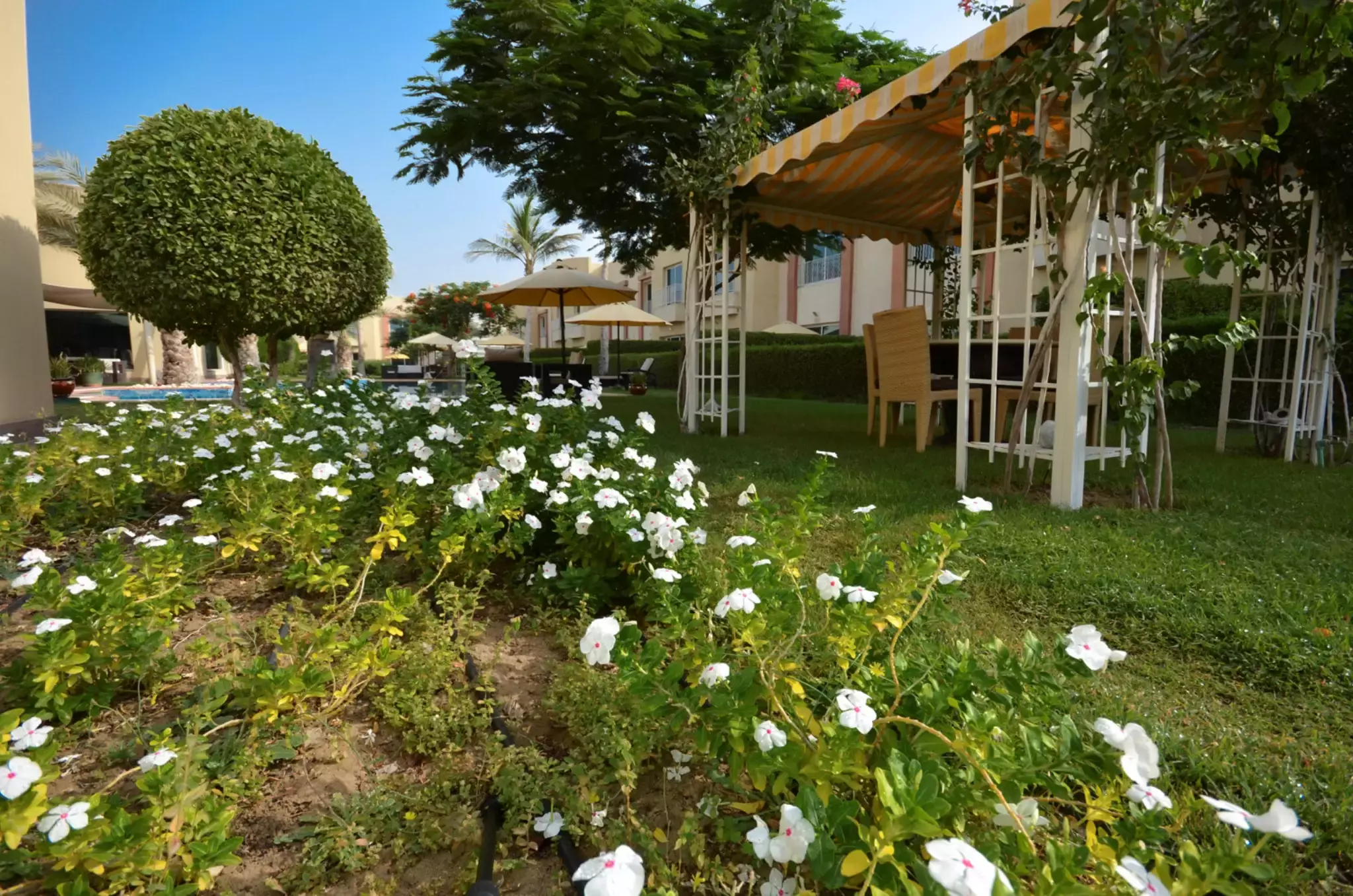 هتل Coral Boutique Villas Hotel دبی