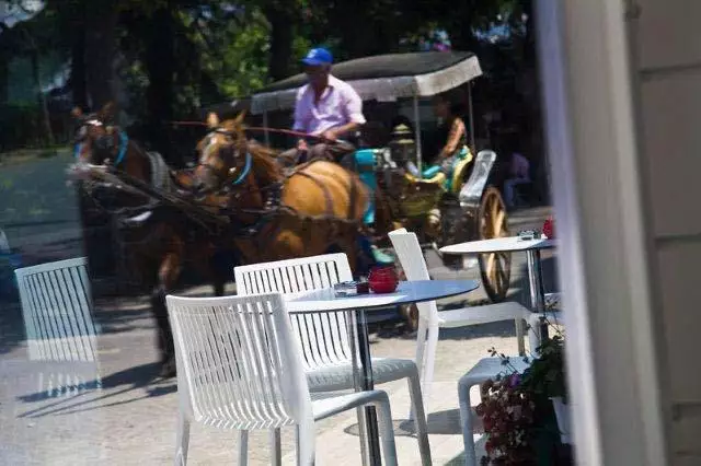 هتل Ascot Hotel Büyükada استانبول