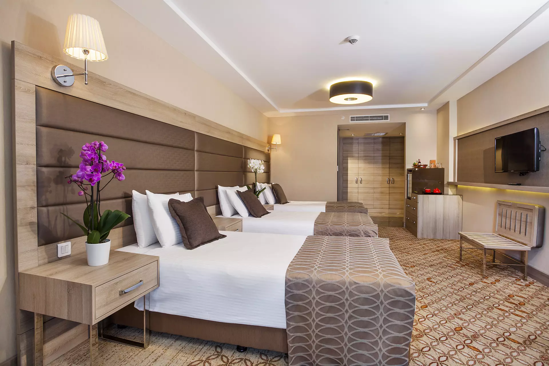 Alibaba https://cdn.alibaba.ir/ostorage/hotel-accommodation-images/687f7f86a1e6f83605b77c10_Istanbul-Nidya-Hotel-Galataport-0.webp