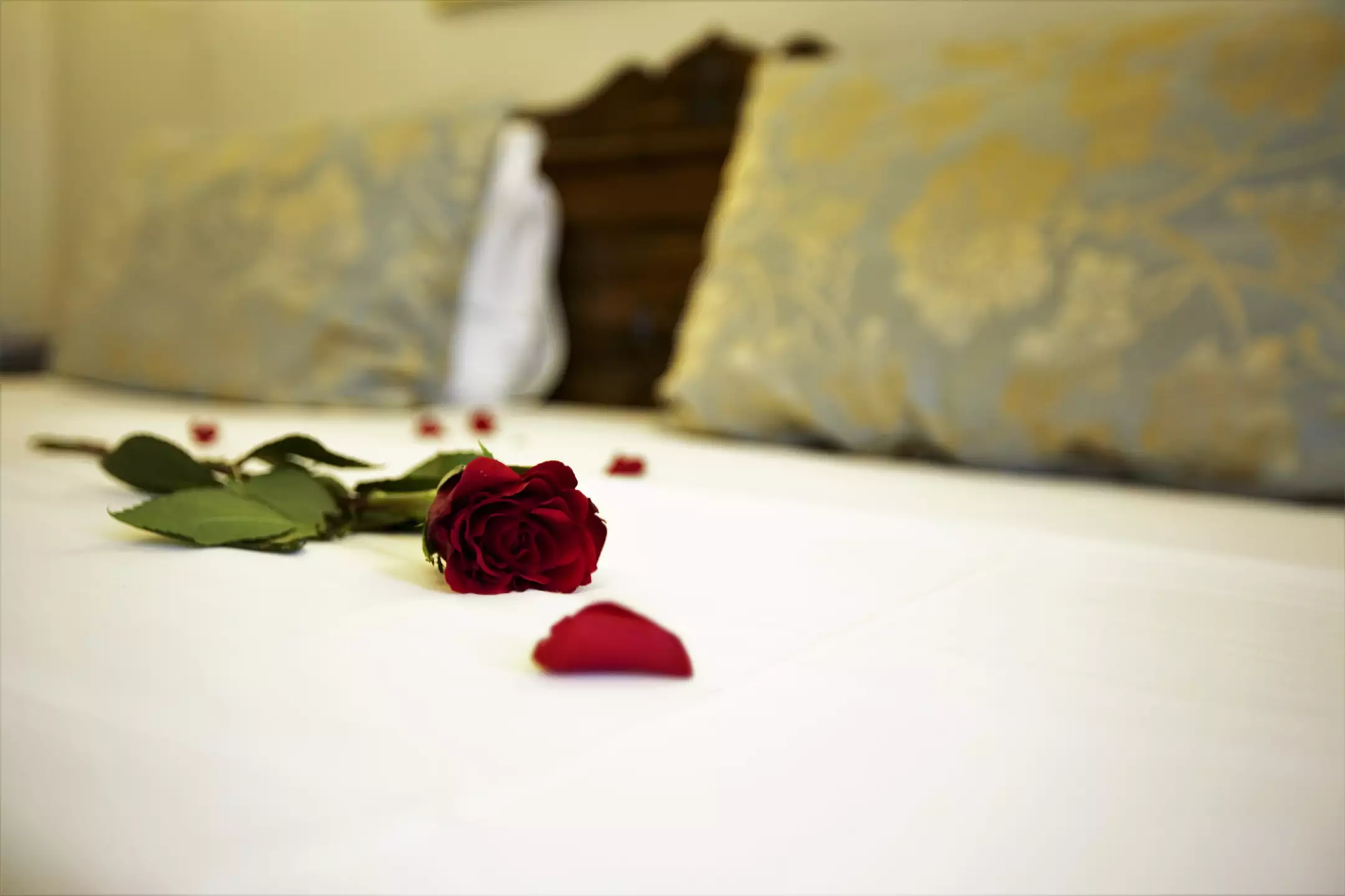 Alibaba https://cdn.alibaba.ir/ostorage/hotel-accommodation-images/687f875aa1e6f83605b78f89_Istanbul-Oba-Hotel-0.webp