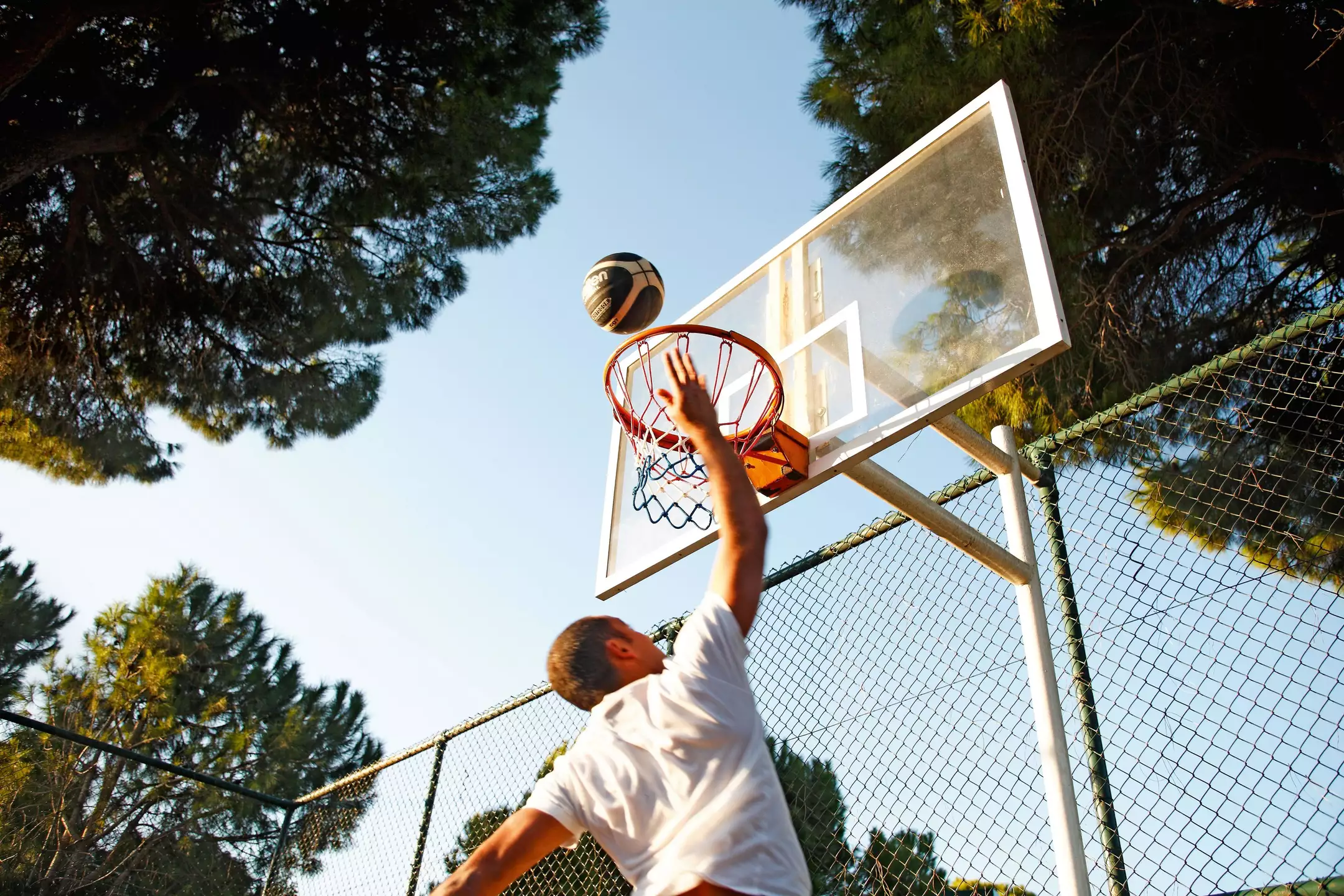 Alibaba https://cdn.alibaba.ir/ostorage/hotel-accommodation-images/6885f0e5ac13a7ed0d856cd3_Antalya-Gloria-Serenity-Resort-104.webp