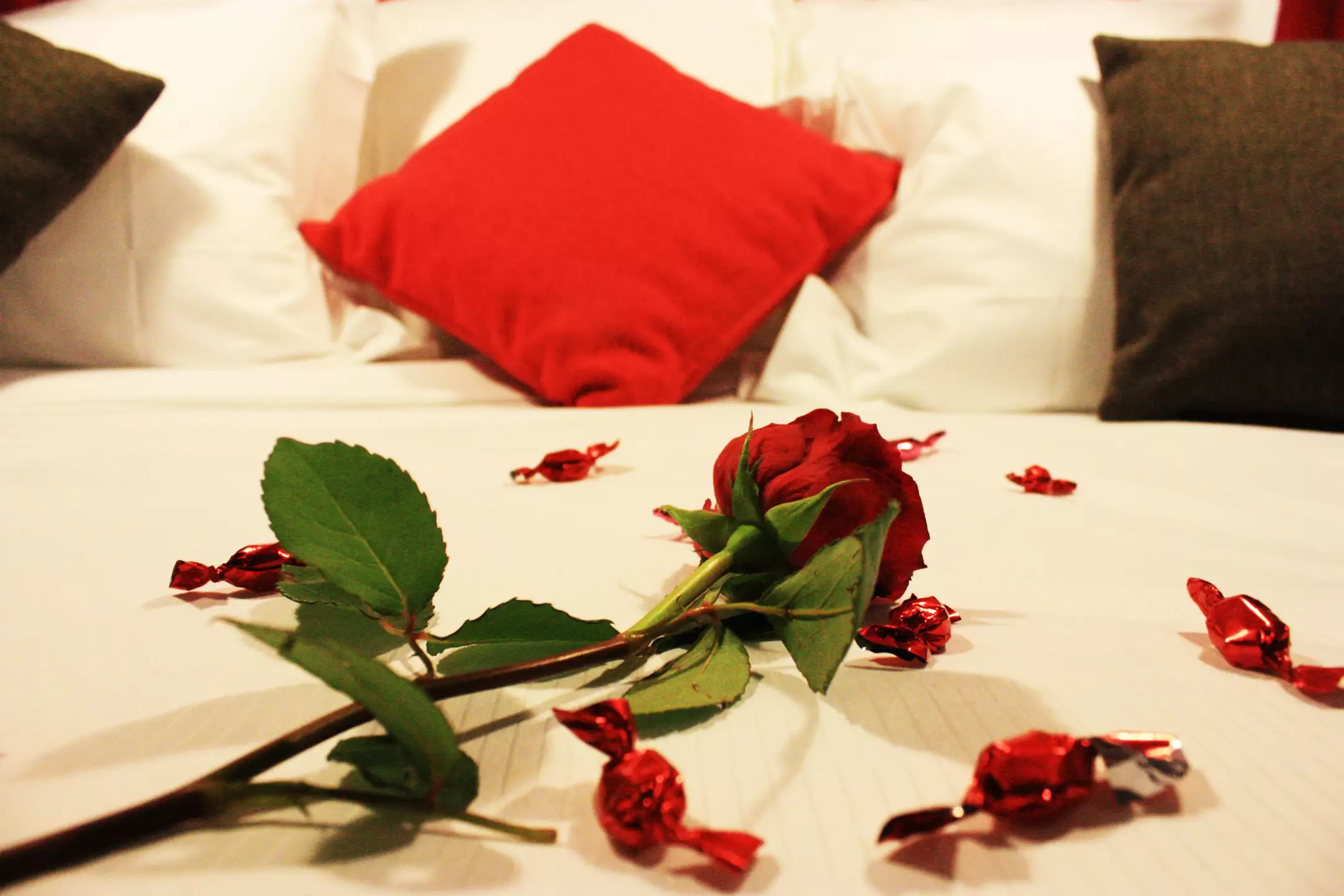 Alibaba https://cdn.alibaba.ir/ostorage/hotel-accommodation-images/6888c692ac13a7ed0d85cfee_Paris-H-tel-Saint-Marcel-Paris-0.webp