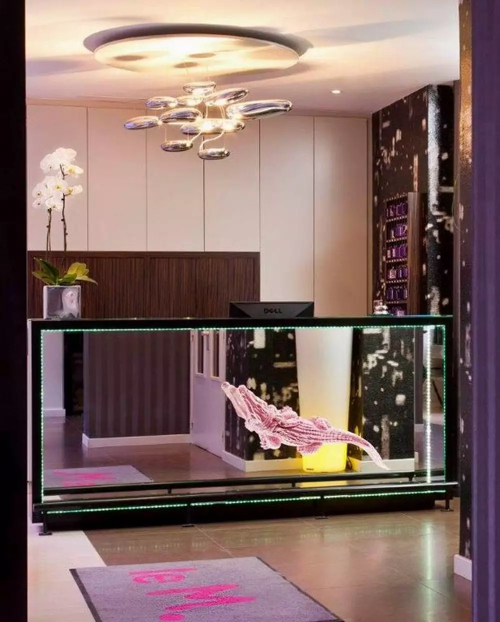 Alibaba https://cdn.alibaba.ir/ostorage/hotel-accommodation-images/6888cfb9ac13a7ed0d85e1b6_Paris-Hotel-Le-M-Saint-Germain-0.webp