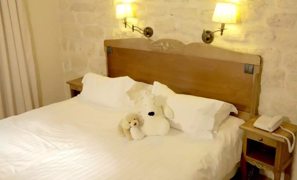 هتل Europe Saint Severin-Paris Notre Dame پاریس