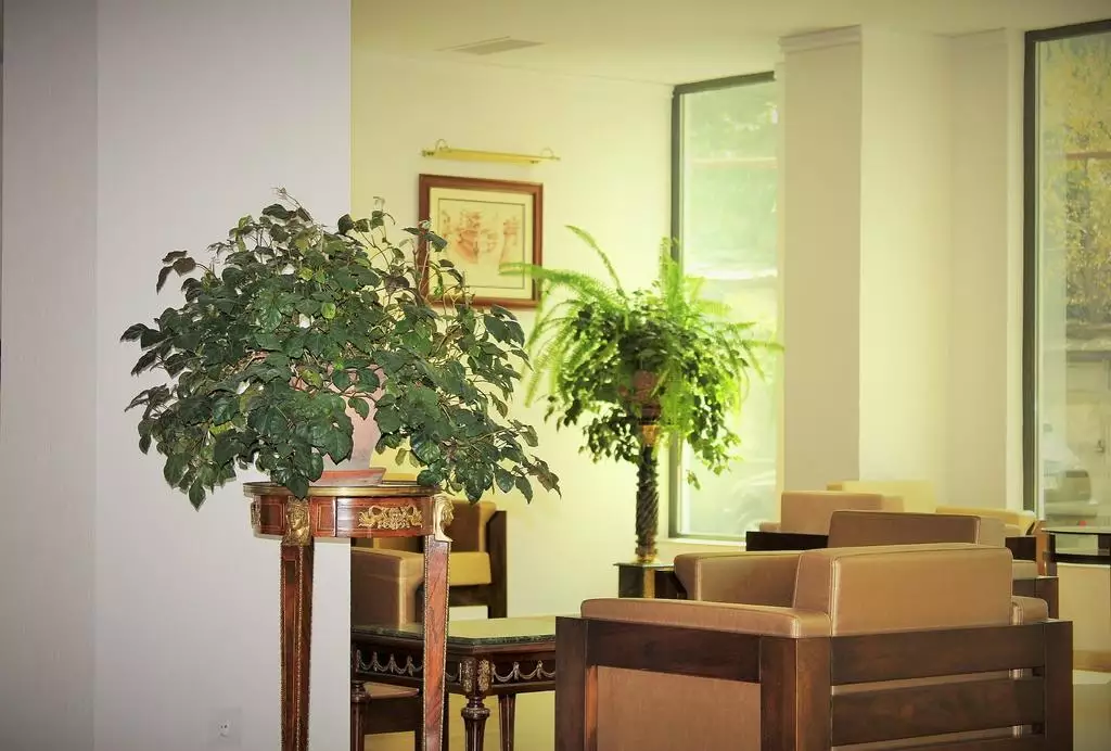 Alibaba https://cdn.alibaba.ir/ostorage/hotel-accommodation-images/6888fd3dac13a7ed0d8646fc_Tbilisi-Tbilotel-0.webp