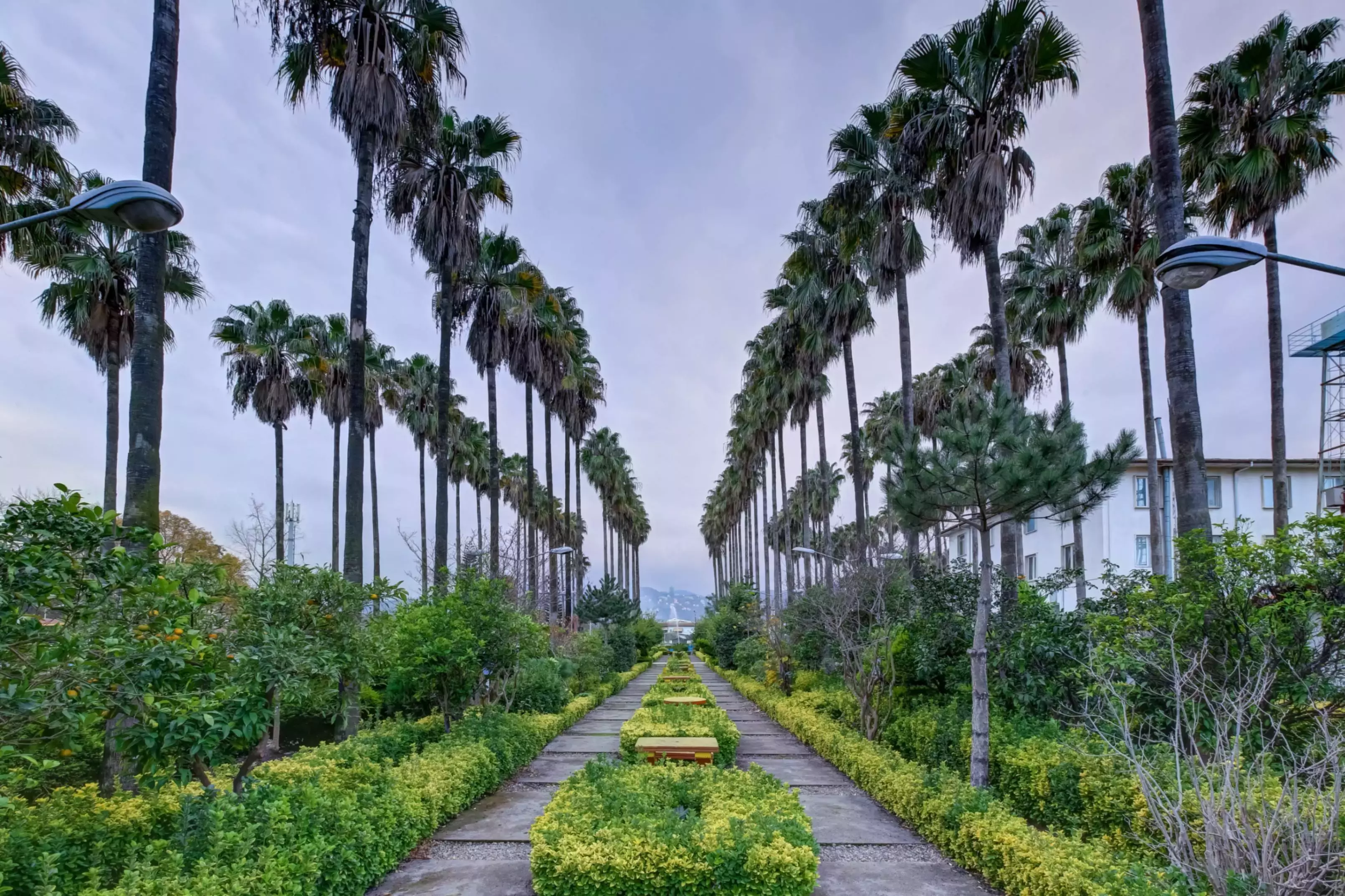 Alibaba https://cdn.alibaba.ir/ostorage/hotel-accommodation-images/68f34a2d42794e78685ebd48_محوطه.webp