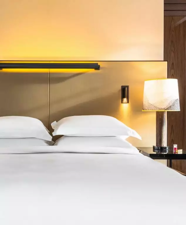 هتل حیات پاریس مدلاین پاریس