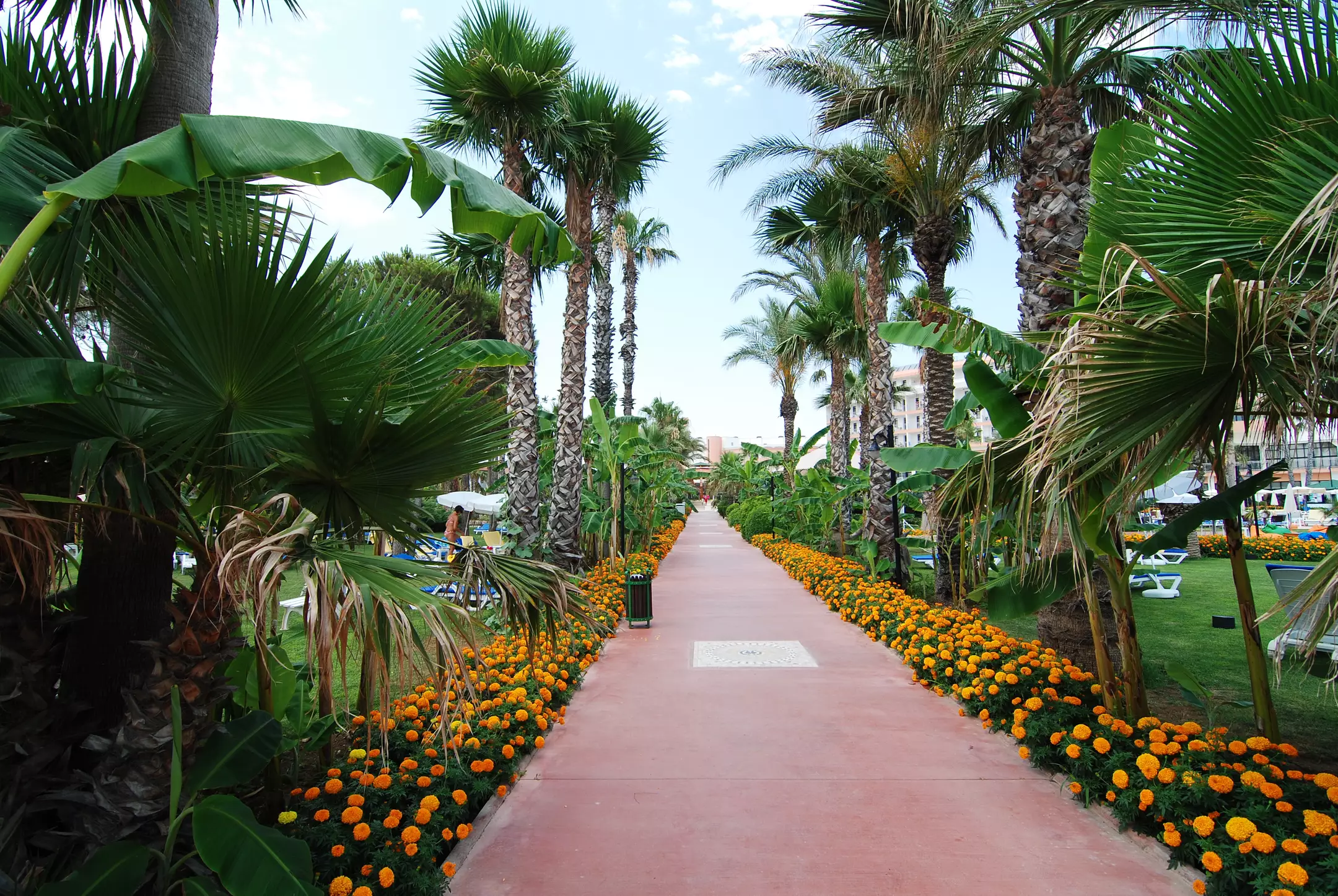 هتل Adora Resort Hotel آنتالیا