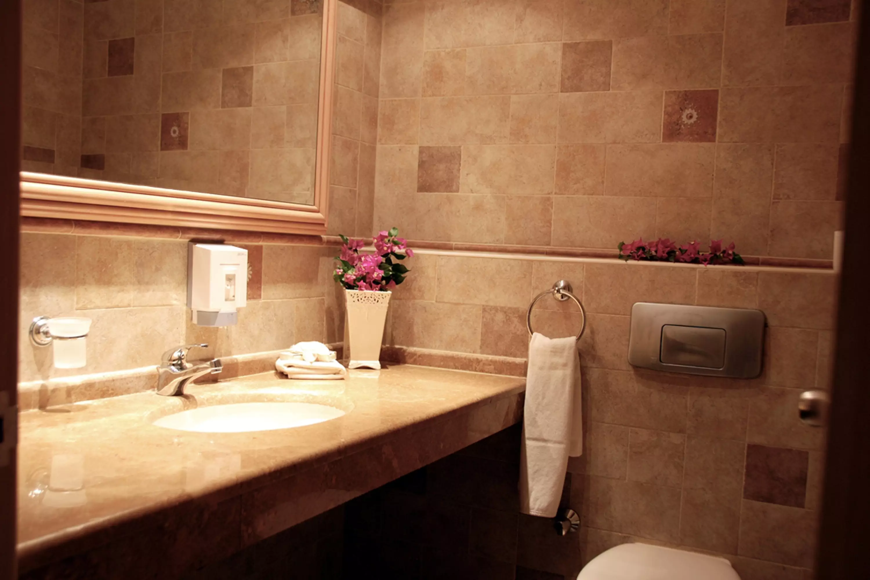 هتل Dalyan Resort دالیان