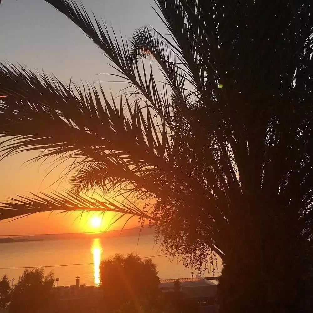 Alibaba https://cdn.alibaba.ir/ostorage/hotel-accommodation-images/69f3f85761ec039ef7589ae7_Nea-Makri-Marathon-Beach-1.webp