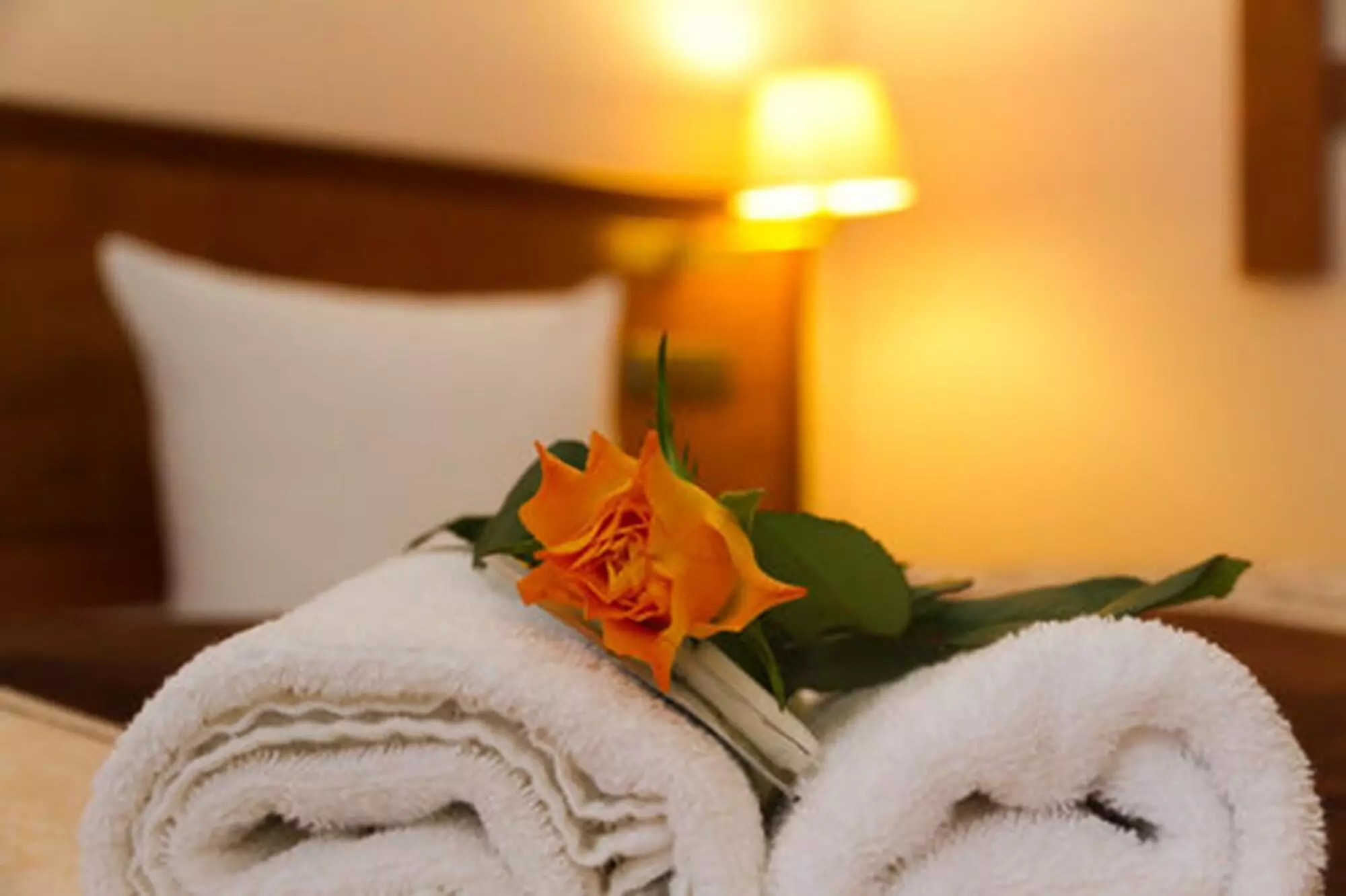 Alibaba https://cdn.alibaba.ir/ostorage/hotel-accommodation-images/69f79e4d61ec039ef75a95c8_Berlin-Hotel-Pension-Arche-1.webp