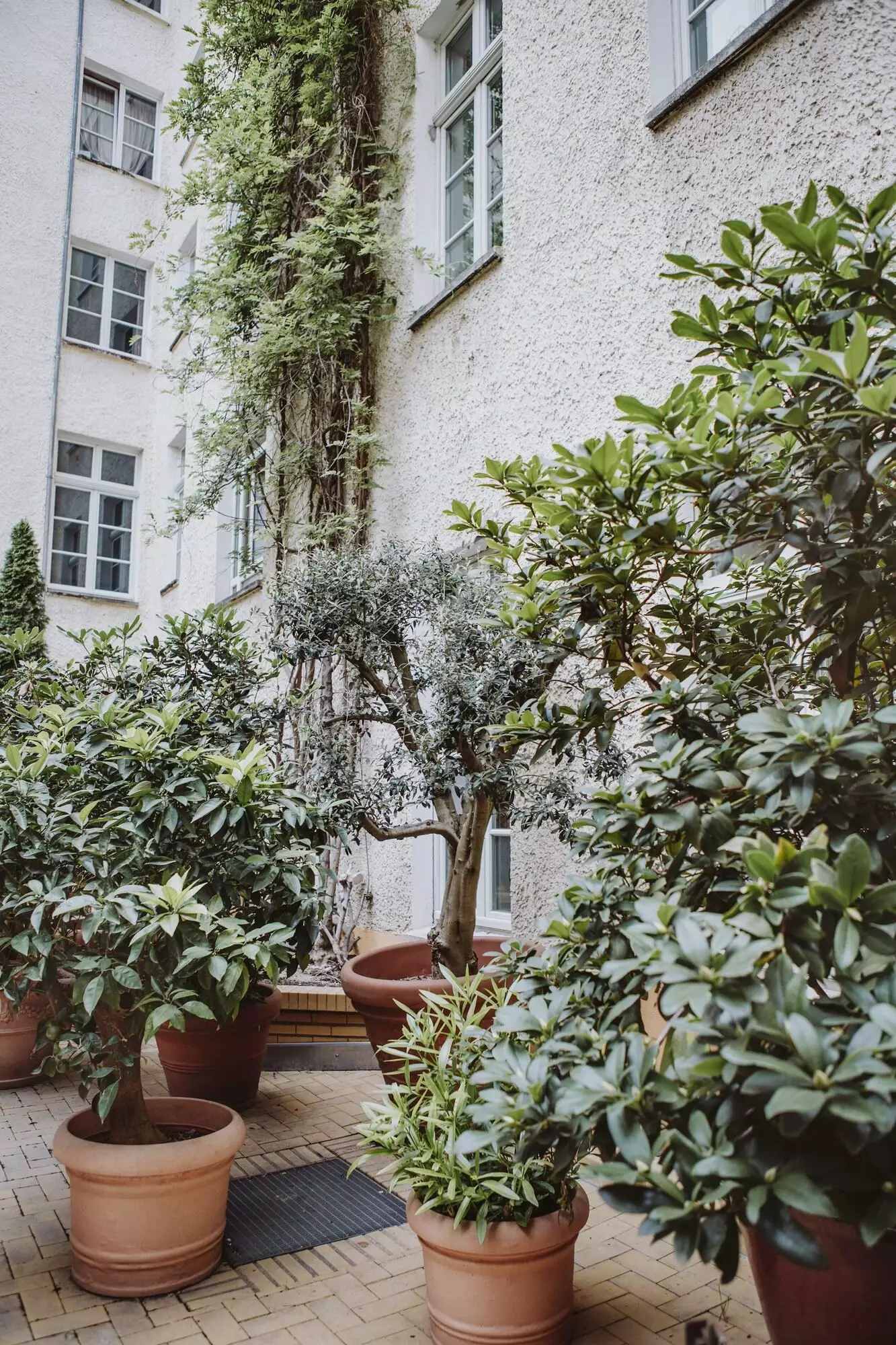 Alibaba https://cdn.alibaba.ir/ostorage/hotel-accommodation-images/69f7d92261ec039ef75ac079_Berlin-Honigmond-Boutique-Hotel-1.webp