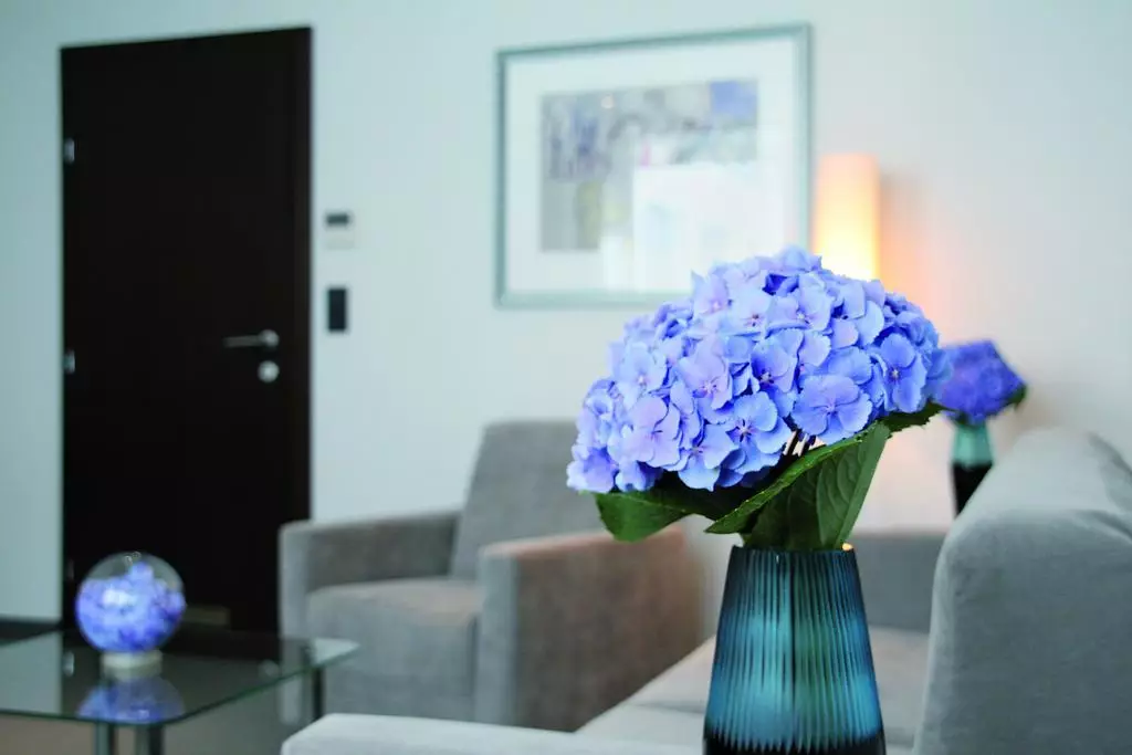 Alibaba https://cdn.alibaba.ir/ostorage/hotel-accommodation-images/69f8e8a5eb1ae654aaa5e12a_Munich-Schiller-5-1.webp