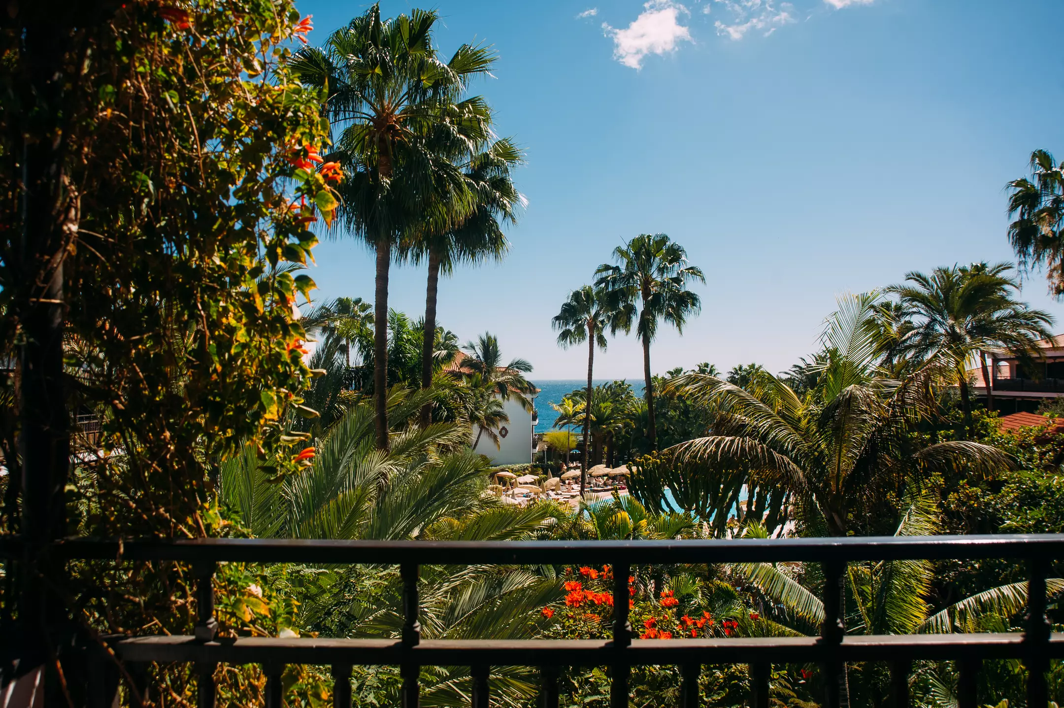 Alibaba https://cdn.alibaba.ir/ostorage/hotel-accommodation-images/6a03e7c961ec039ef75b95d9_Playa-del-Ingles-Hotel-Parque-Tropical-1.webp