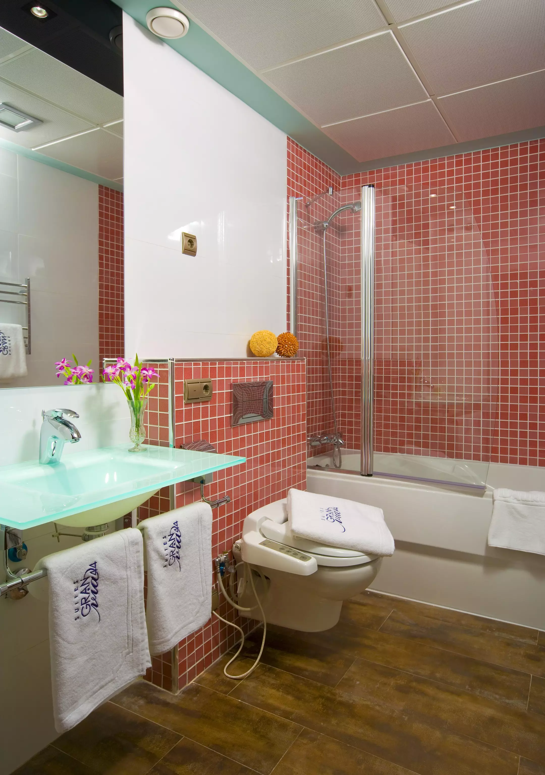 Alibaba https://cdn.alibaba.ir/ostorage/hotel-accommodation-images/6a05777461ec039ef75cb8e2_Granada-Suites-Gran-Via-44-1.webp