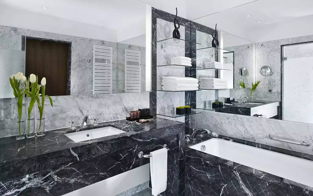 هتل The Ritz-Carlton, Vienna وین