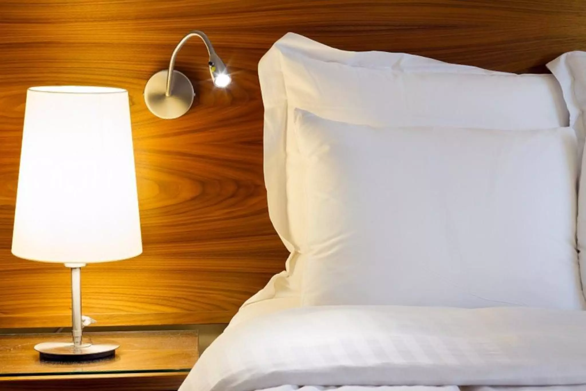 Alibaba https://cdn.alibaba.ir/ostorage/hotel-accommodation-images/6a0dfdb961ec039ef761dd36_Manaus-InterCity-Premium-Manaus-1.webp