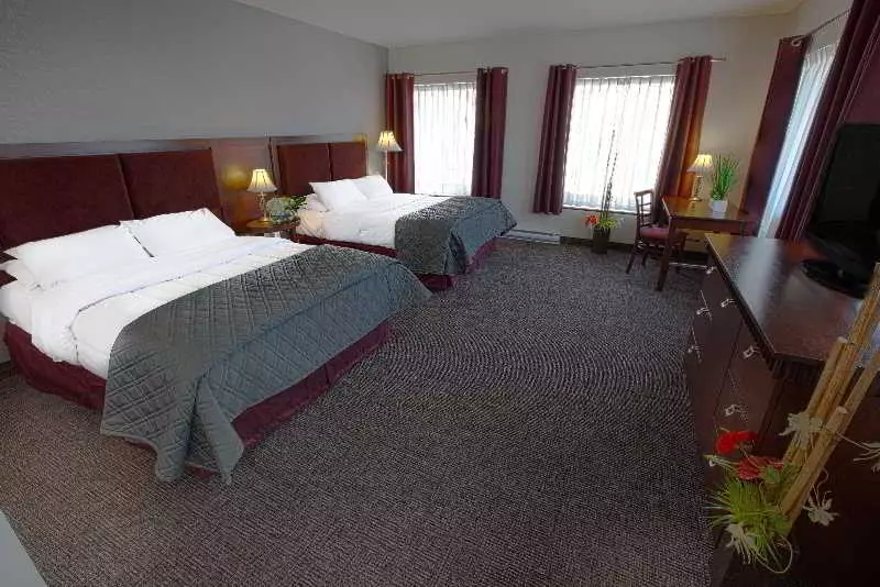 Alibaba https://cdn.alibaba.ir/ostorage/hotel-accommodation-images/6a0ff39cc86edf55f7243cba_Quebec-City-Universel-1.webp