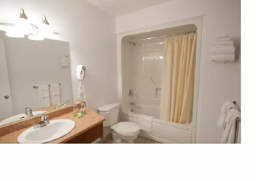 Alibaba https://cdn.alibaba.ir/ostorage/hotel-accommodation-images/6a10b57bc86edf55f724c7f2_Montreal-Les-Suites-Labelle-1.webp