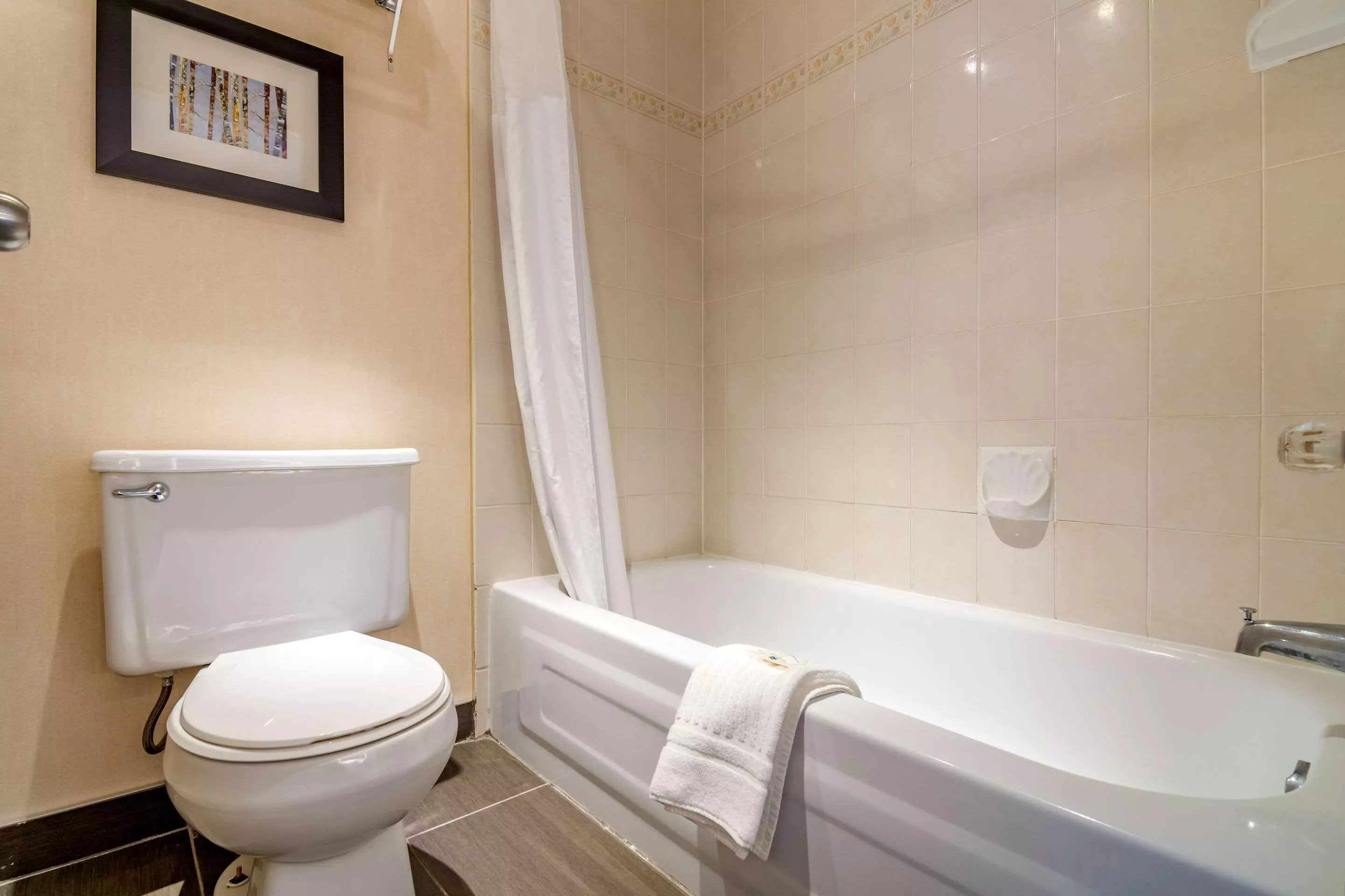 Alibaba https://cdn.alibaba.ir/ostorage/hotel-accommodation-images/6a1127f0c86edf55f725185d_Kamloops-Quality-Inn-Kamloops-1.webp